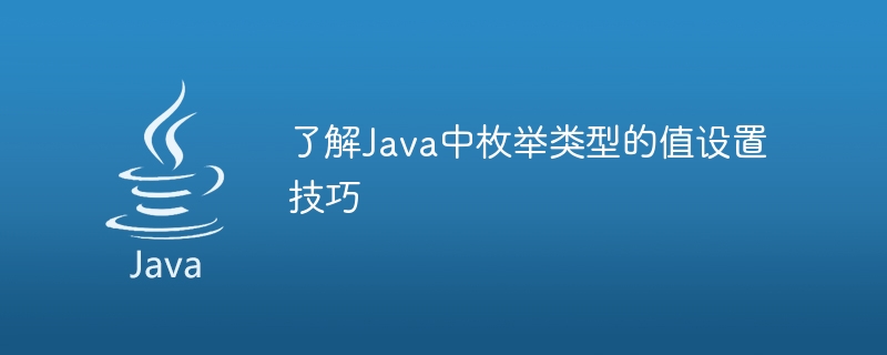 学习如何在Java中设置枚举类型的值