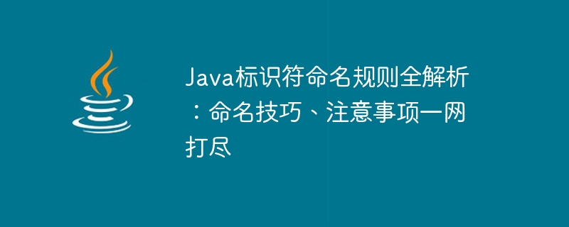 Java 識別子の命名規則の詳細: 命名に関するヒントと考慮事項を含む包括的なガイド