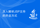 深入解析JSP文件的开启方式