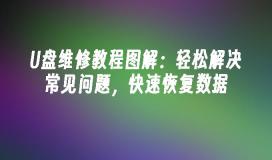 U 디스크 수리 튜토리얼 그림: 일반적인 문제를 쉽게 해결하고 데이터를 빠르게 복원