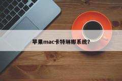 苹果mac卡特琳娜系统？