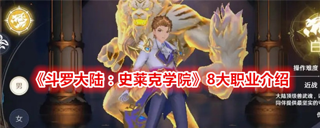 《斗罗大陆:史莱克学院》8大职业介绍