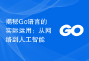 揭秘Go语言的实际运用：从网络到人工智能