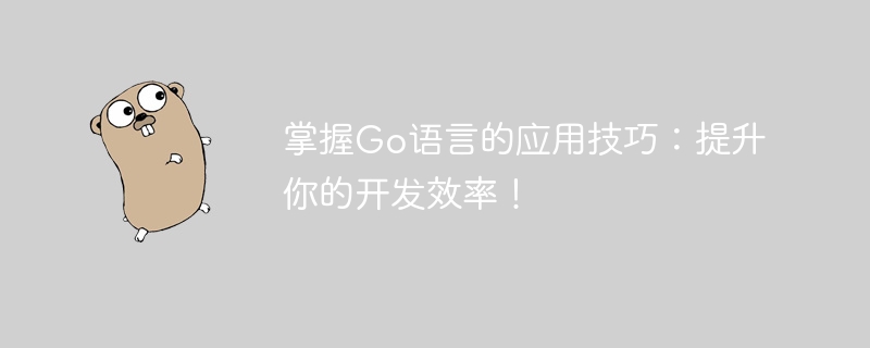 提升開發效率的Go語言應用技巧