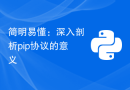 简明易懂：深入剖析pip协议的意义