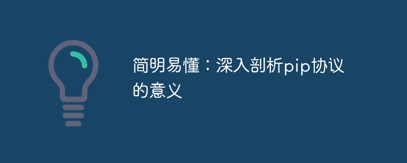 简明易懂：深入剖析pip协议的意义