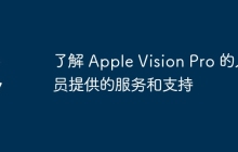 了解 Apple Vision Pro 的人员提供的服务和支持