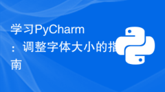 Learning PyCharm: A guide to adjusting font size