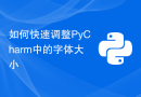 如何快速调整PyCharm中的字体大小