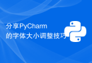 分享PyCharm的字体大小调整技巧