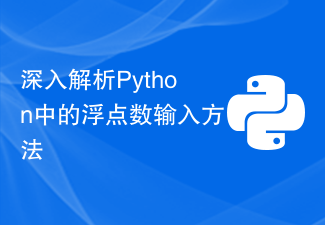 Python의 부동 소수점 숫자 입력 방법에 대한 심층 분석