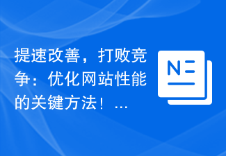 速度を向上させ、競合に勝つ: Web サイトのパフォーマンスを最適化する鍵です。