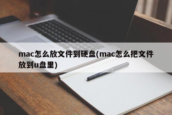 Mac 上のファイルをハードドライブに置く方法 (Mac 上のファイルを USB ドライブに置く方法)