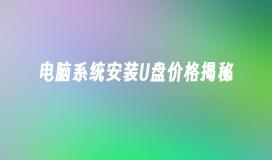 电脑系统安装U盘价格揭秘