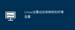 linux设置动态库路径和环境变量