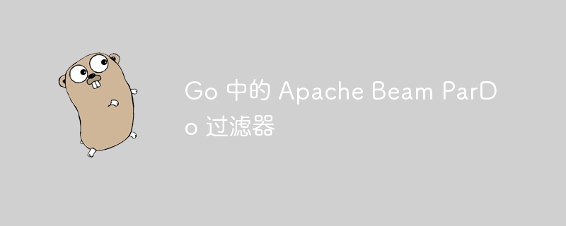 Go 中的 Apache Beam ParDo 过滤器