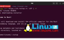 dutree：强大的 Linux 文件系统磁盘使用追踪工具