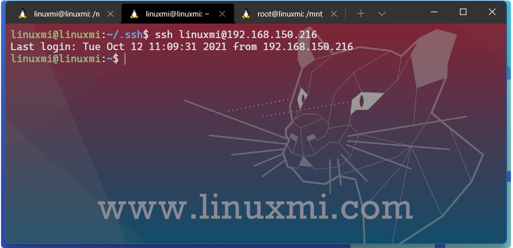 超级强大！Linux 下 6 个终极 SSH 客户端