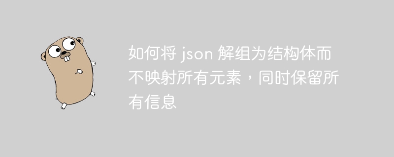 如何将 json 解组为结构体而不映射所有元素，同时保留所有信息