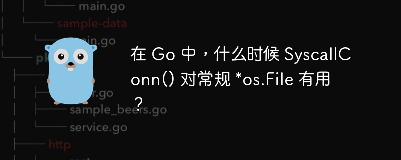 在 Go 中，什么时候 SyscallConn() 对常规 *os.File 有用？