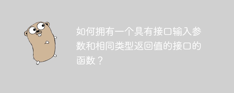 如何拥有一个具有接口输入参数和相同类型返回值的接口的函数？