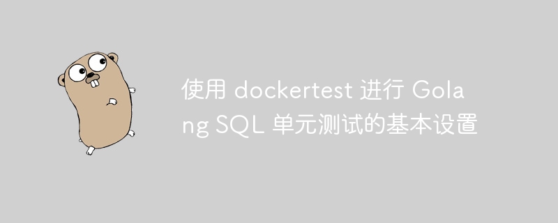 使用 dockertest 进行 golang sql 单元测试的基本设置