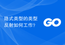 隐式类型的类型反射如何工作？