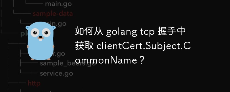 如何从 golang tcp 握手中获取 clientcert.subject.commonname？