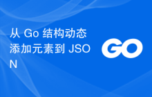 从 Go 结构动态添加元素到 JSON