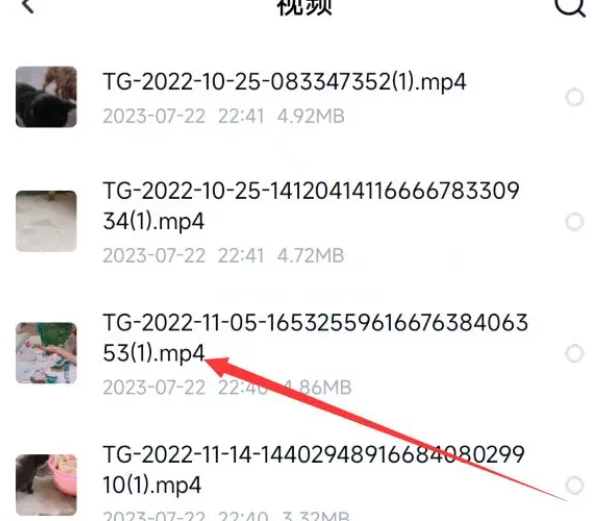 Que dois-je faire si la vidéo de Baidu Netdisk ne figure pas dans lalbum photo après lavoir téléchargée ?