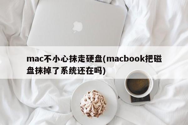 Mac a accidentellement effacé le disque dur (Macbook a effacé le disque, le système est-il toujours là ?)