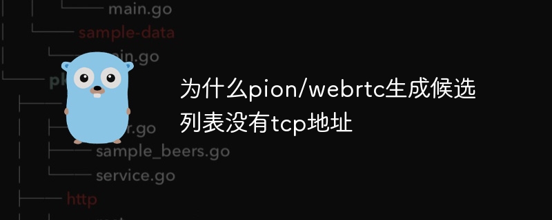 pion/webrtc가 TCP 주소 없이 후보 목록을 생성하는 이유는 무엇입니까?