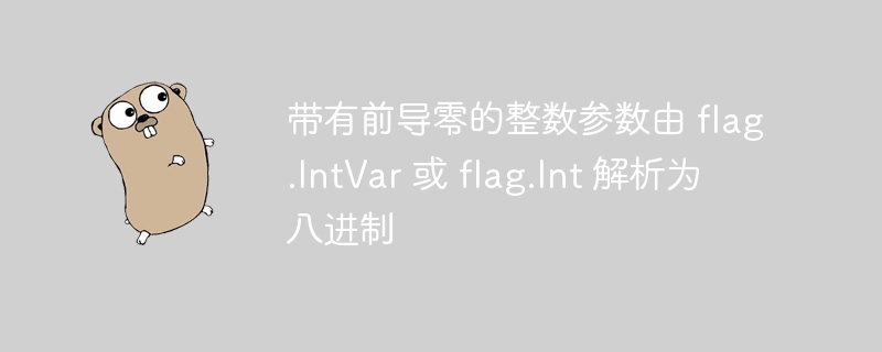 带有前导零的整数参数由 flag.IntVar 或 flag.Int 解析为八进制