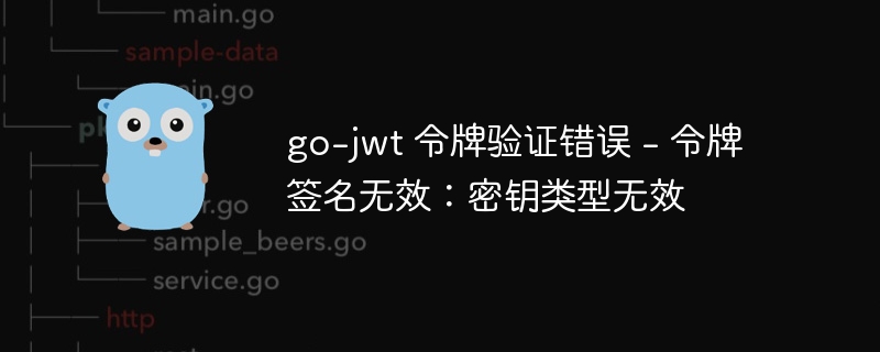 go-jwt 令牌验证错误 - 令牌签名无效：密钥类型无效