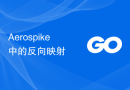 Aerospike 中的反向映射