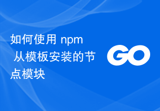 如何使用 npm 从模板安装的节点模块