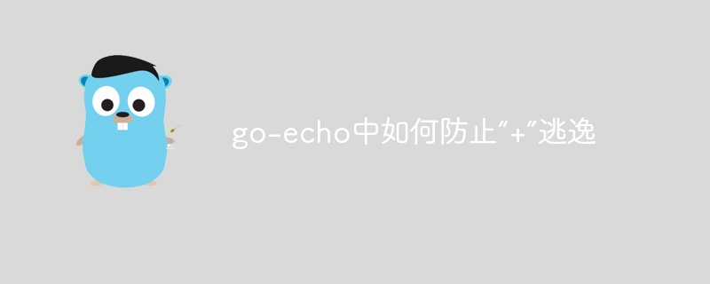 go-echo中如何防止“+”逃逸