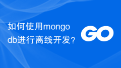 How to use mongodb for offline development?