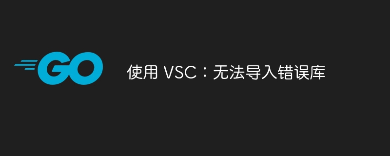 使用 VSC：无法导入错误库