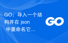 GO：导入一个结构并在 json 中重命名它