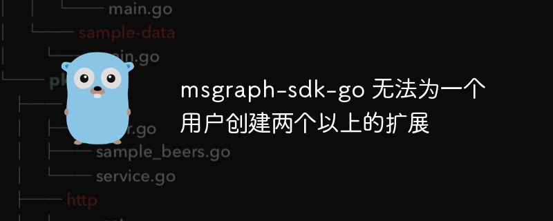 msgraph-sdk-go 无法为一个用户创建两个以上的扩展