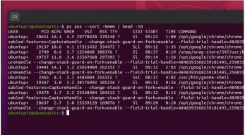 如何在 Linux 中按内存和 CPU 使用率查找运行次数最多的进程