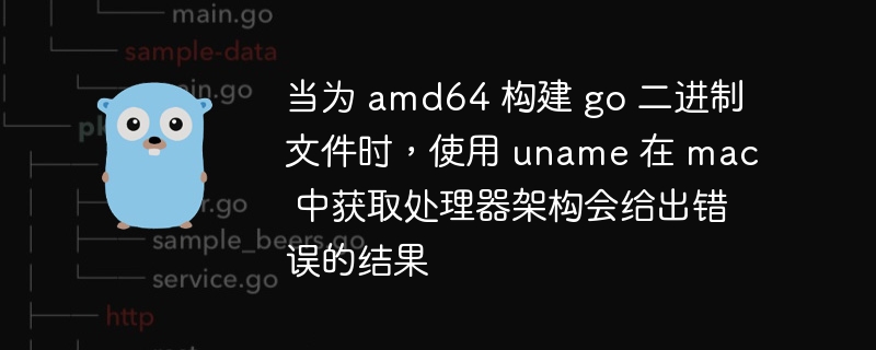 当为 amd64 构建 go 二进制文件时，使用 uname 在 mac 中获取处理器架构会给出错误的结果