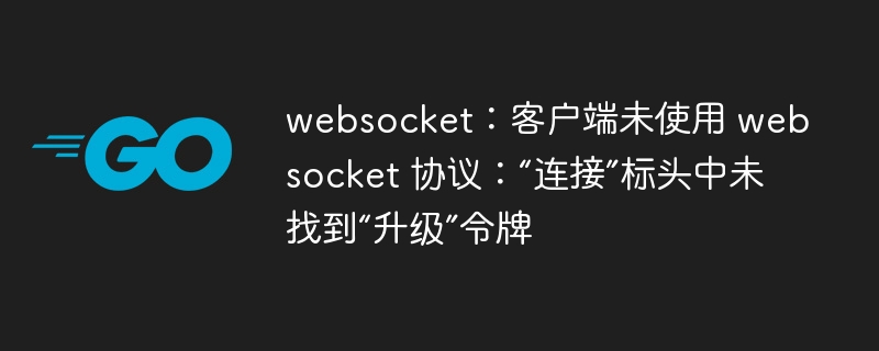 websocket：客户端未使用 websocket 协议：“连接”标头中未找到“升级”令牌