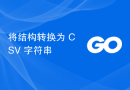 将结构转换为 CSV 字符串