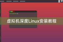 虚拟机深度Linux安装教程