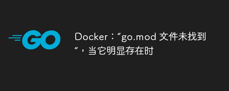 docker：“go.mod 文件未找到”，当它明显存在时