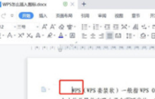 WPS2019怎么插入图标 详细教程介绍