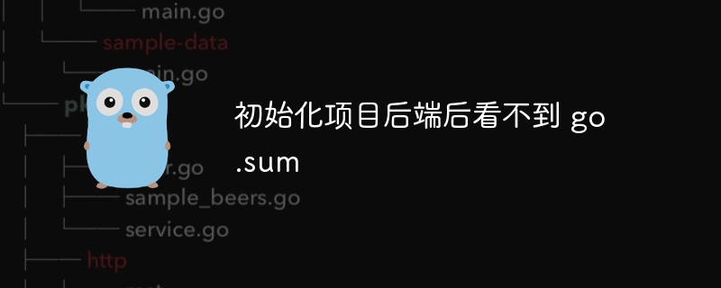 初始化项目后端后看不到 go.sum