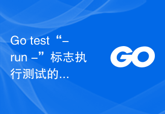 Go test '-run -' フラグにより​​テストがより高速に実行されます